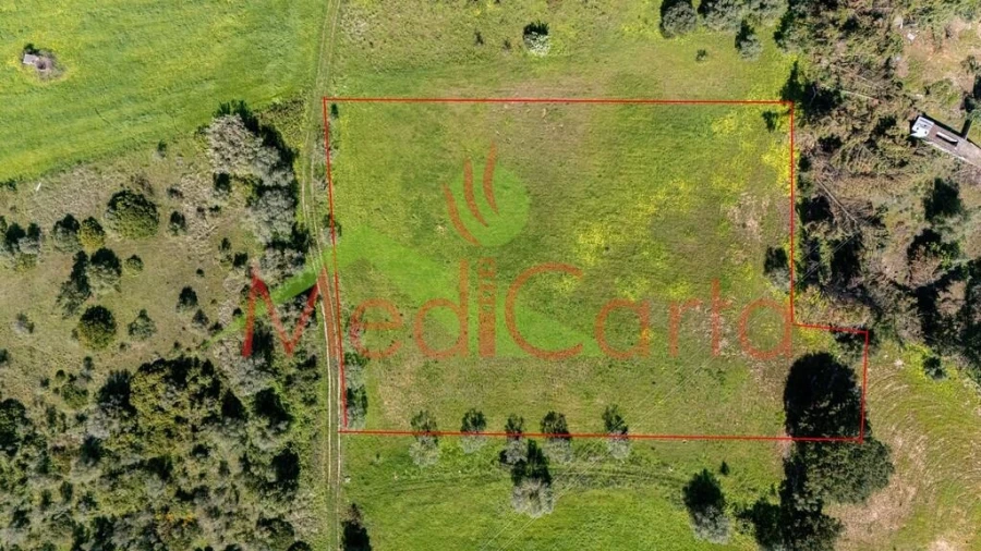 Terreno para Venda em Cartaxo e Vale da Pinta Foto 6