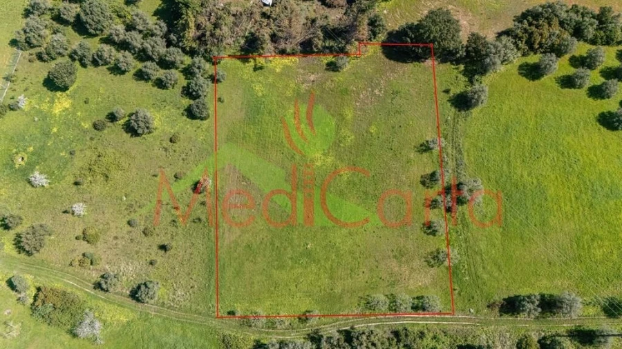 Terreno para Venda em Cartaxo e Vale da Pinta Foto 5