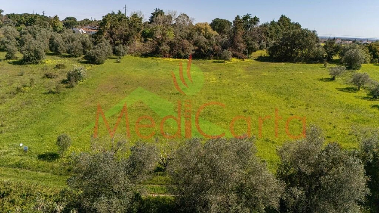 Terreno para Venda em Cartaxo e Vale da Pinta Foto 2