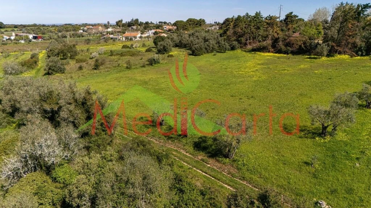 Terreno para Venda em Cartaxo e Vale da Pinta Foto 3