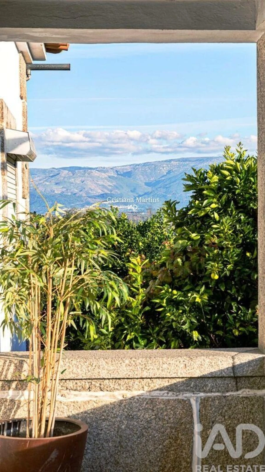 Moradia T7 para Venda em Ervedal e Vila Franca da Beira Foto 11