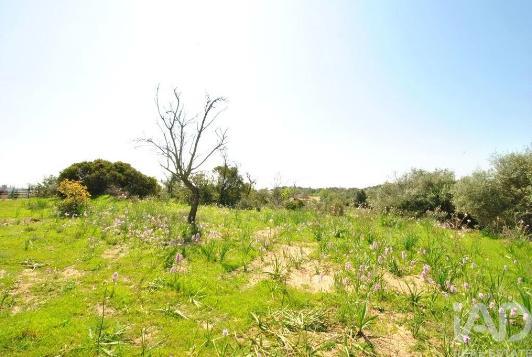 Terreno para Venda em Paderne Foto 9