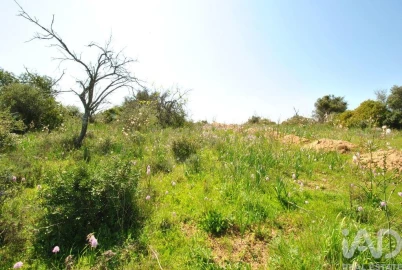 Terreno para Venda em Paderne