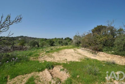Terreno para Venda em Paderne