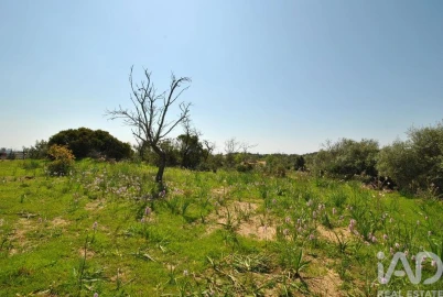 Terreno para Venda em Paderne