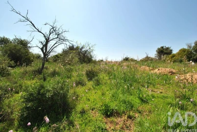 Terreno para Venda em Paderne