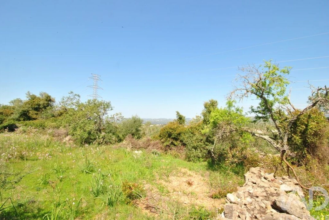 Terreno para Venda em Paderne Foto 15