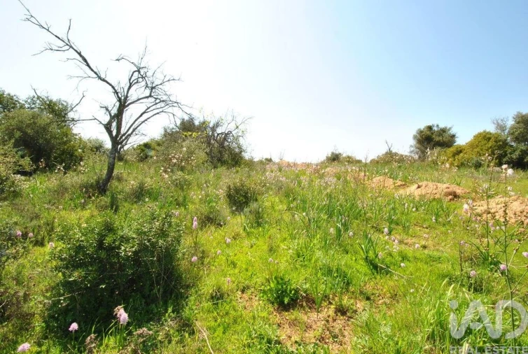 Terreno para Venda em Paderne Foto 11