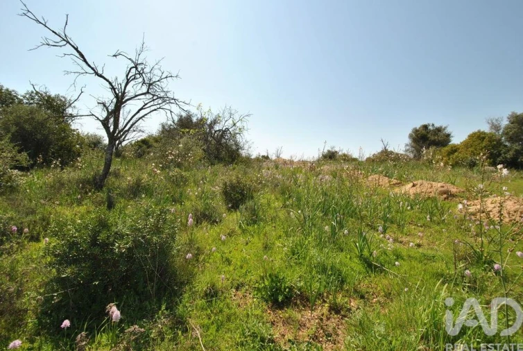 Terreno para Venda em Paderne Foto 10