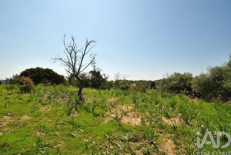 Terreno para Venda em Paderne Foto 8