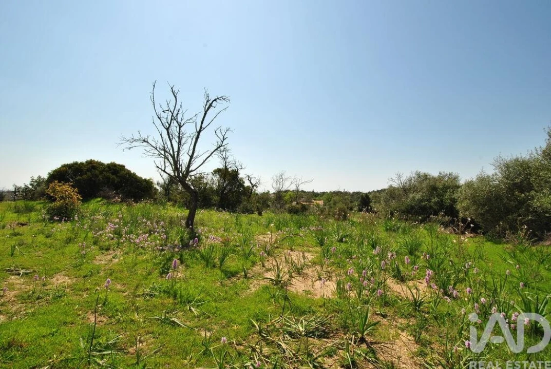 Terreno para Venda em Paderne Foto 8