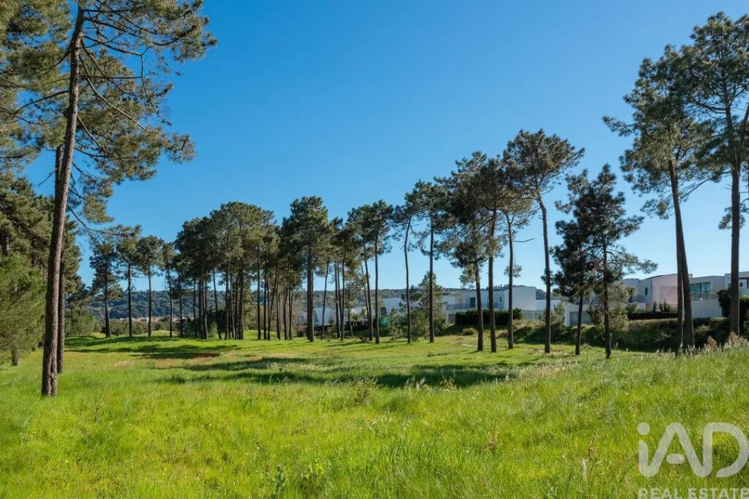 Apartamento T1 para Venda em Quinta do Anjo Foto 20