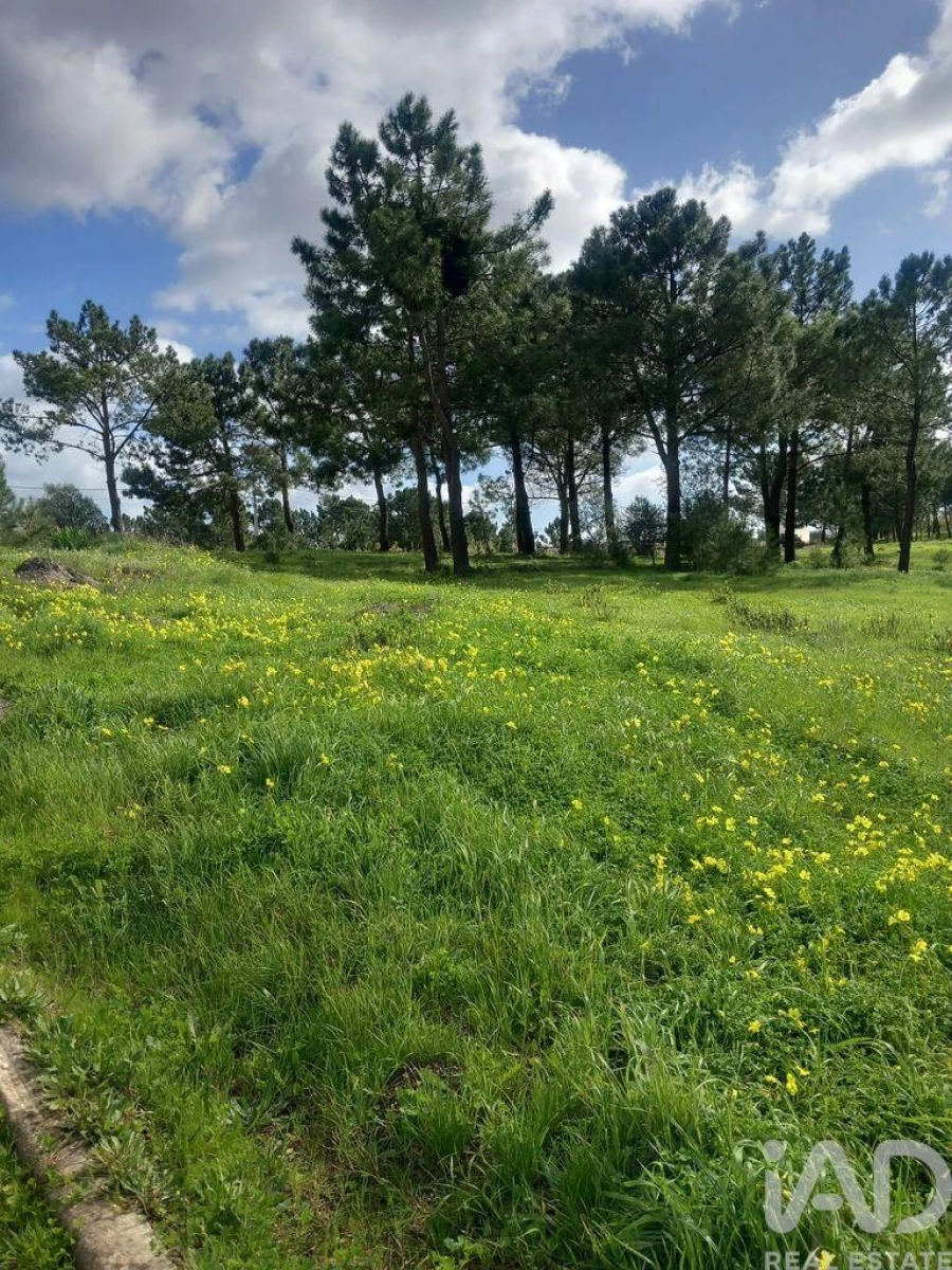 Terreno para Venda em Sesimbra (Castelo) Foto 6