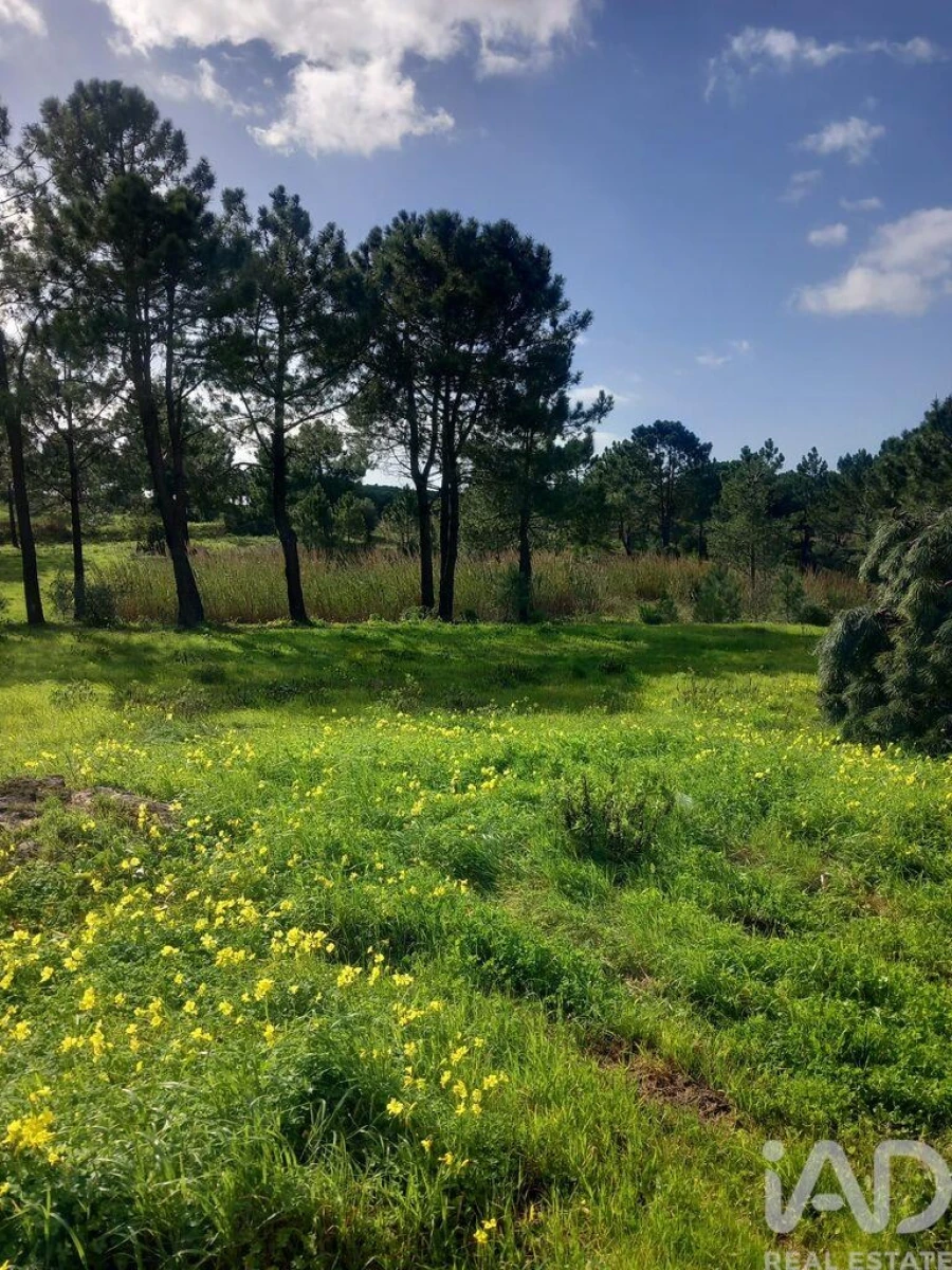 Terreno para Venda em Sesimbra (Castelo) Foto 7