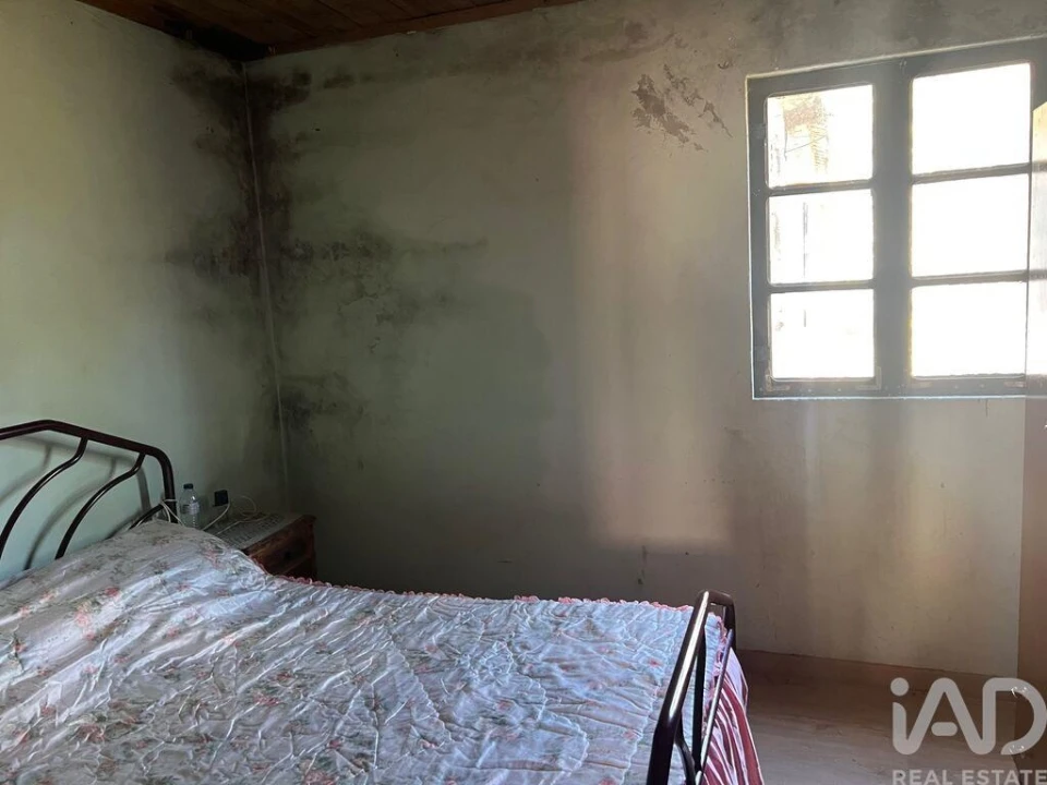 Quinta T4 para Venda em Santa Cruz da Trapa e São Cristóvão de Lafões Foto 9