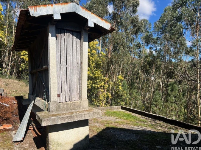 Quinta T4 para Venda em Santa Cruz da Trapa e São Cristóvão de Lafões Foto 16