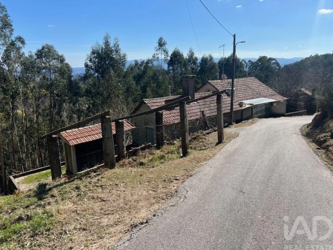 Quinta T4 para Venda em Santa Cruz da Trapa e São Cristóvão de Lafões Foto 1
