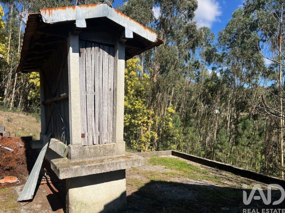 Quinta T4 para Venda em Santa Cruz da Trapa e São Cristóvão de Lafões Foto 16