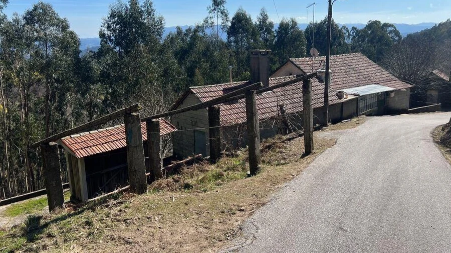 Quinta T4 para Venda em Santa Cruz da Trapa e São Cristóvão de Lafões