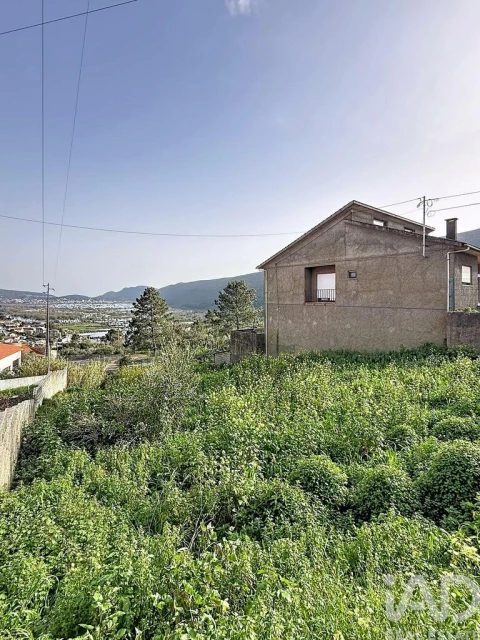 Terreno para Venda em Mira de Aire
