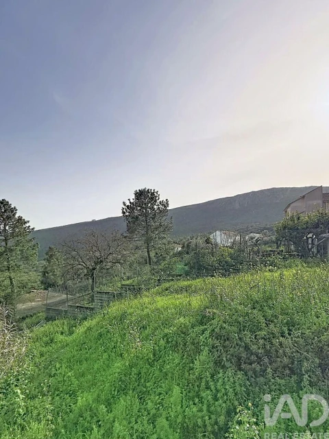 Terreno para Venda em Mira de Aire