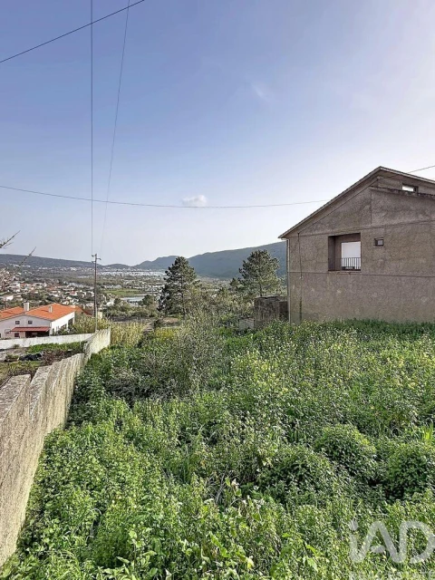Terreno para Venda em Mira de Aire