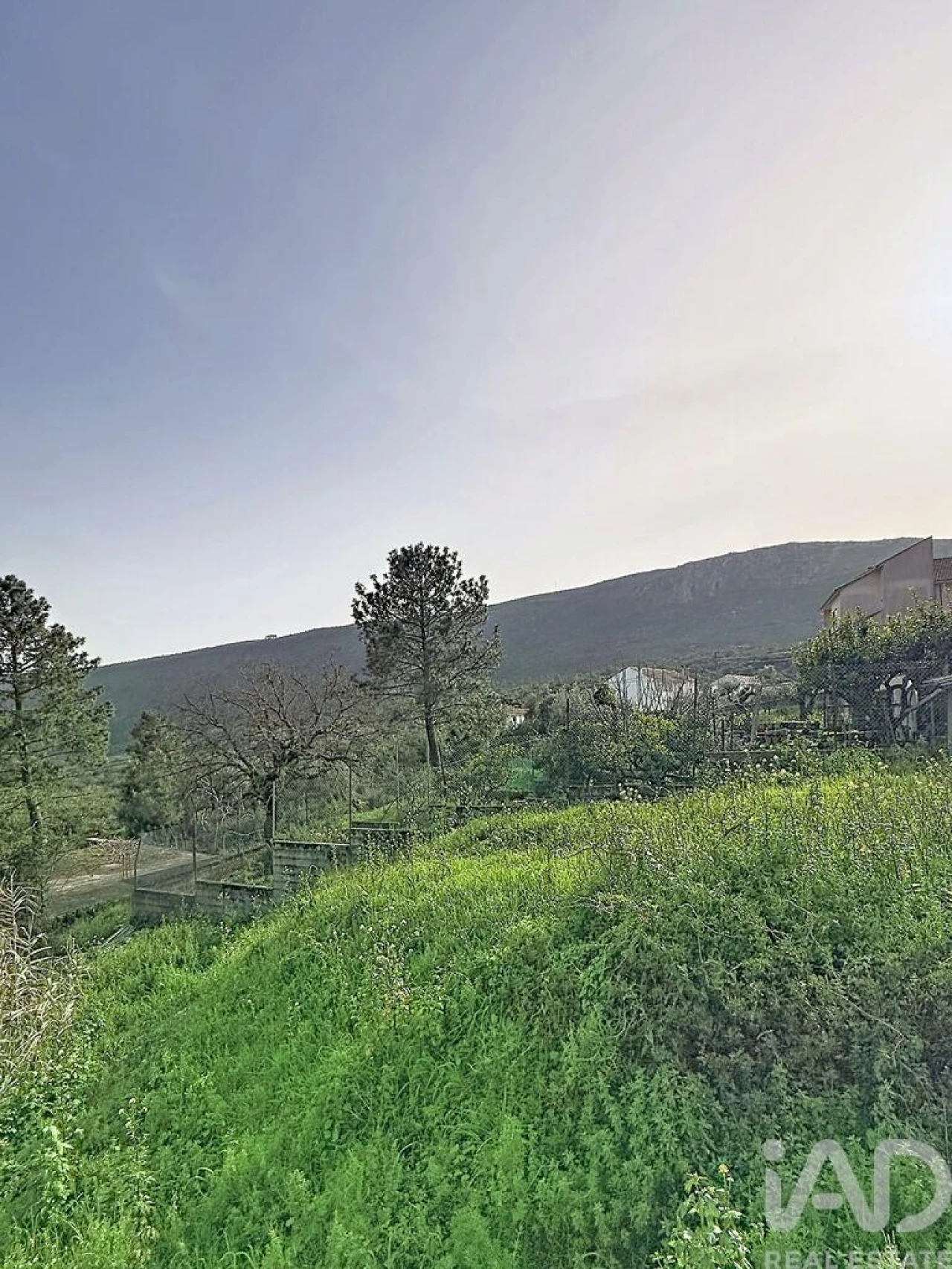 Terreno para Venda em Mira de Aire Foto 15