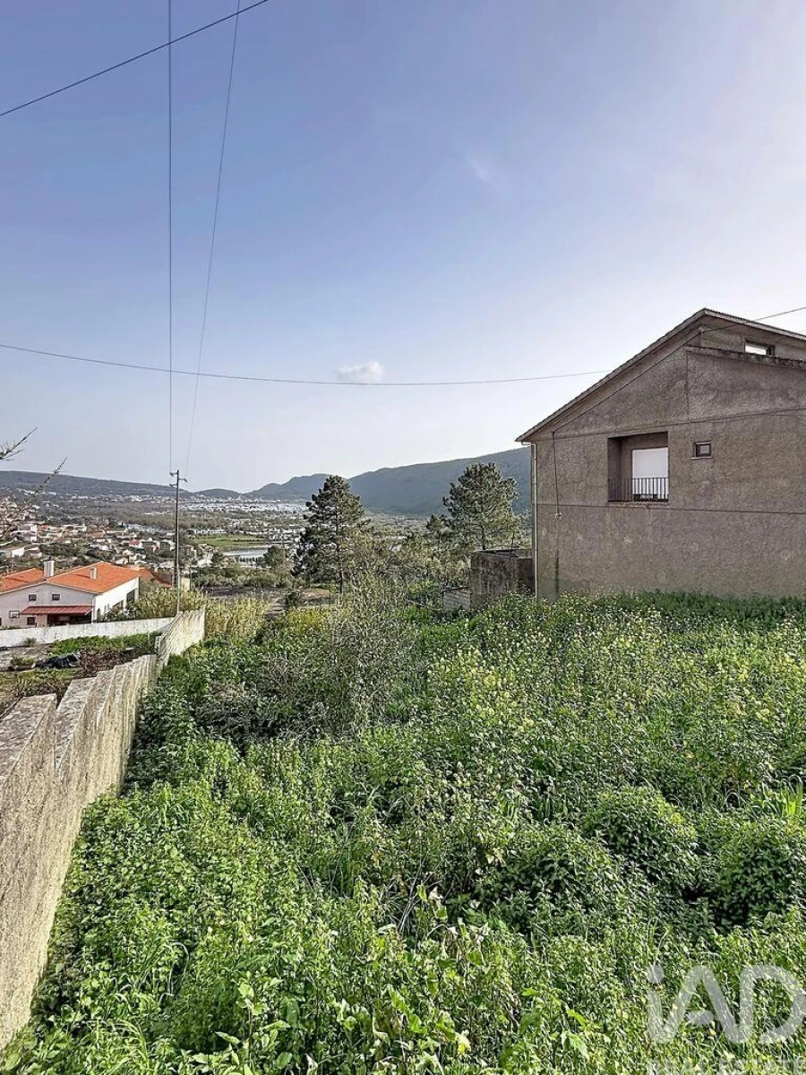 Terreno para Venda em Mira de Aire Foto 11