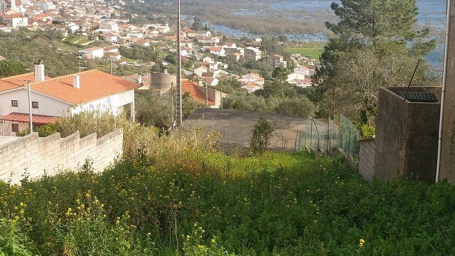 Terreno para Venda em Mira de Aire