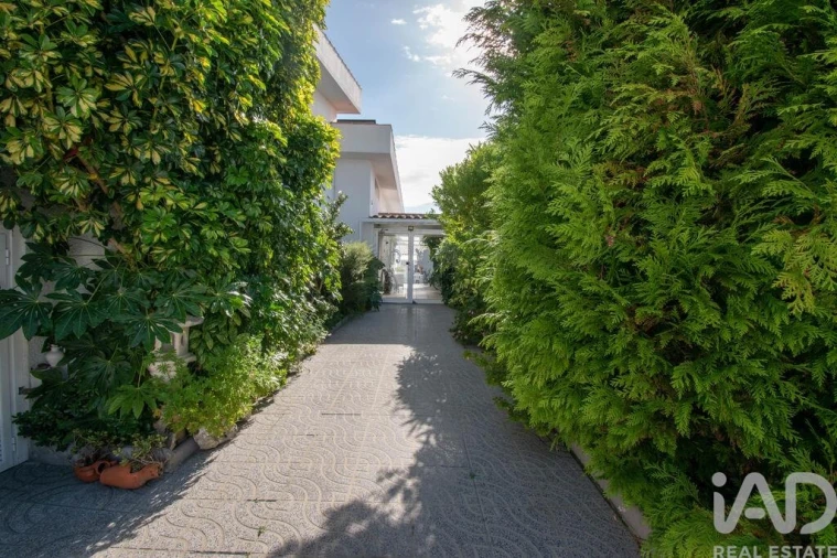 Moradia T3 para Venda em Vieira de Leiria Foto 33