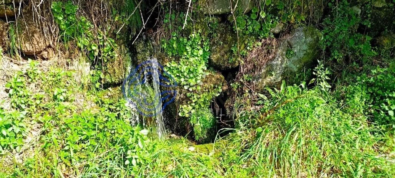 Moradia T2 para Venda em Bustelo, Carneiro e Carvalho de Rei Foto 21