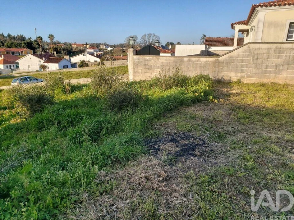 Terreno para Venda em Batalha Foto 13