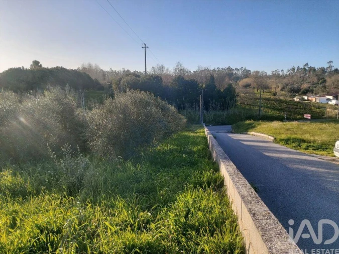Terreno para Venda em Batalha Foto 15