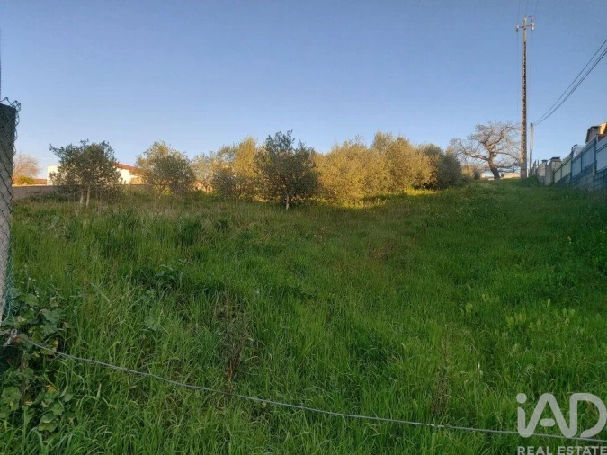 Terreno para Venda em Batalha Foto 4