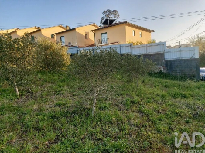 Terreno para Venda em Batalha Foto 23