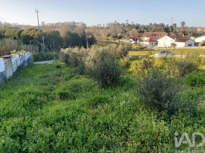 Terreno para Venda em Batalha Foto 10
