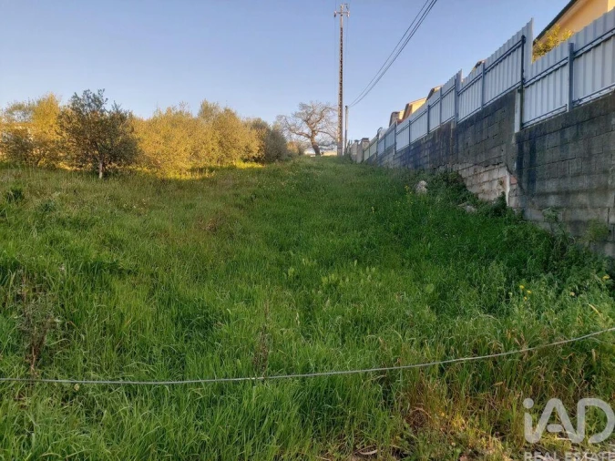 Terreno para Venda em Batalha Foto 2