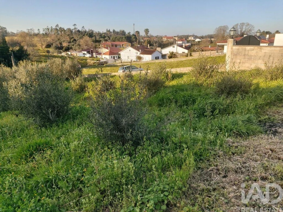 Terreno para Venda em Batalha Foto 7
