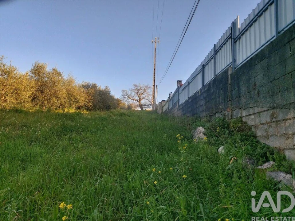 Terreno para Venda em Batalha Foto 12