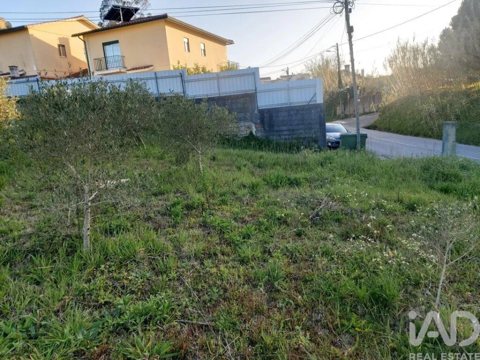 Terreno para Venda em Batalha Foto 22