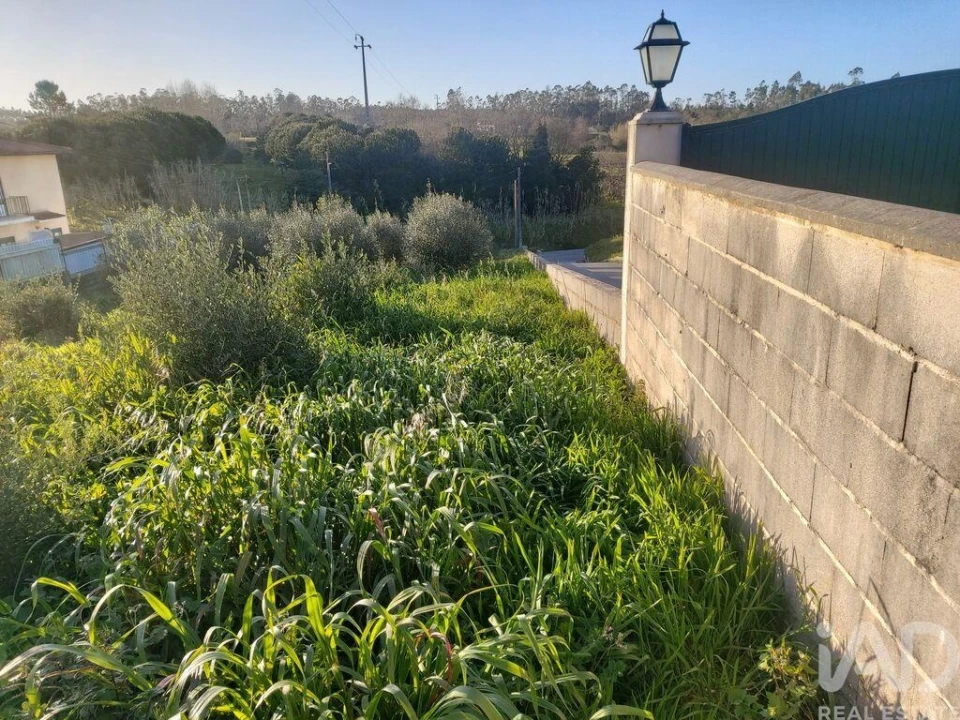 Terreno para Venda em Batalha Foto 14