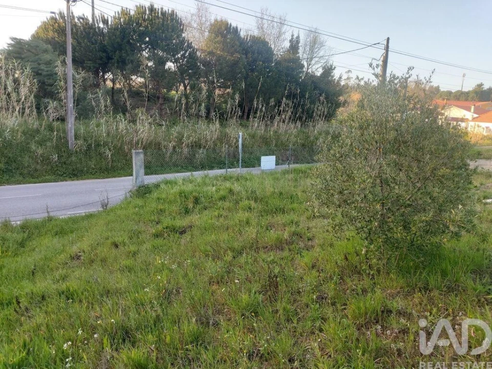 Terreno para Venda em Batalha Foto 19