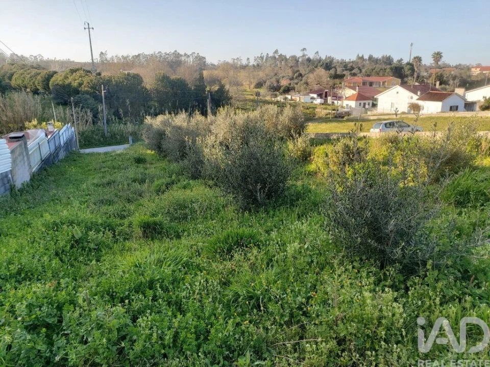 Terreno para Venda em Batalha Foto 10