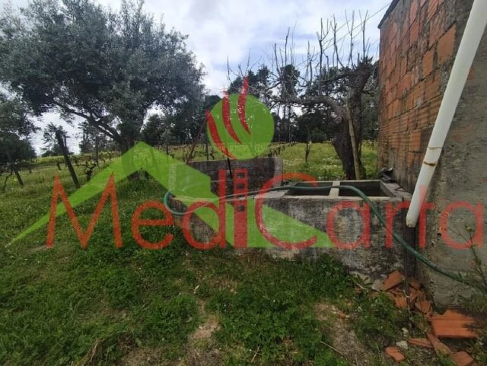 Terreno para Venda em Cartaxo e Vale da Pinta Foto 4