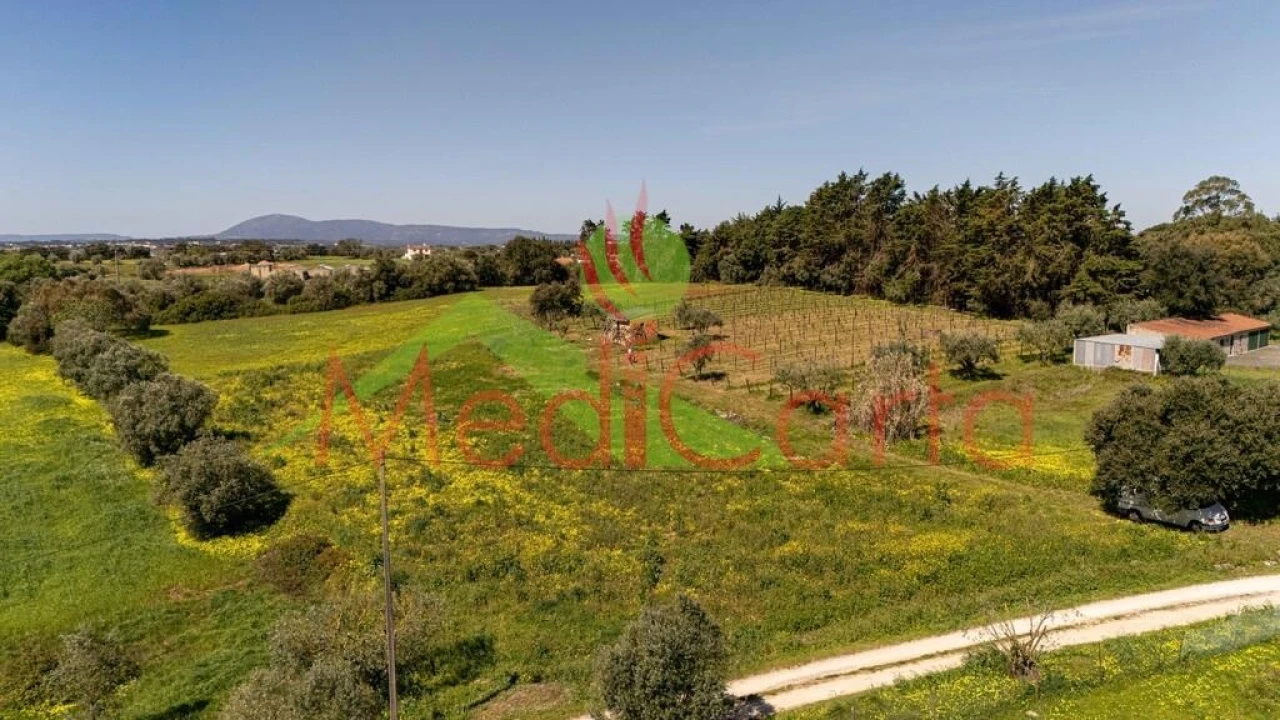 Terreno para Venda em Cartaxo e Vale da Pinta Foto 5