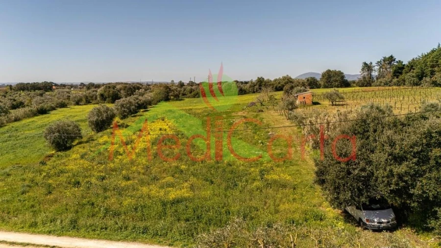 Terreno para Venda em Cartaxo e Vale da Pinta Foto 13