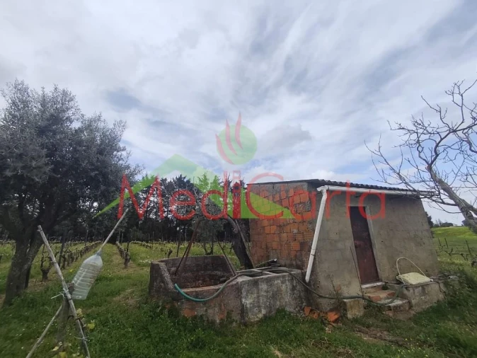 Terreno para Venda em Cartaxo e Vale da Pinta Foto 2