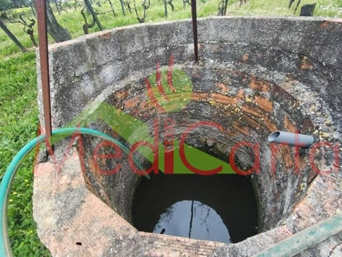 Terreno para Venda em Cartaxo e Vale da Pinta Foto 3