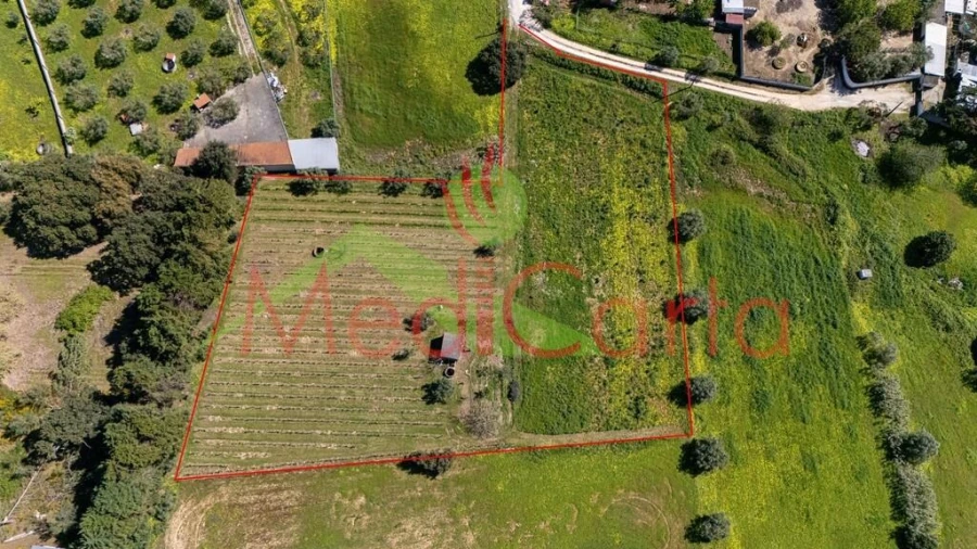 Terreno para Venda em Cartaxo e Vale da Pinta Foto 7