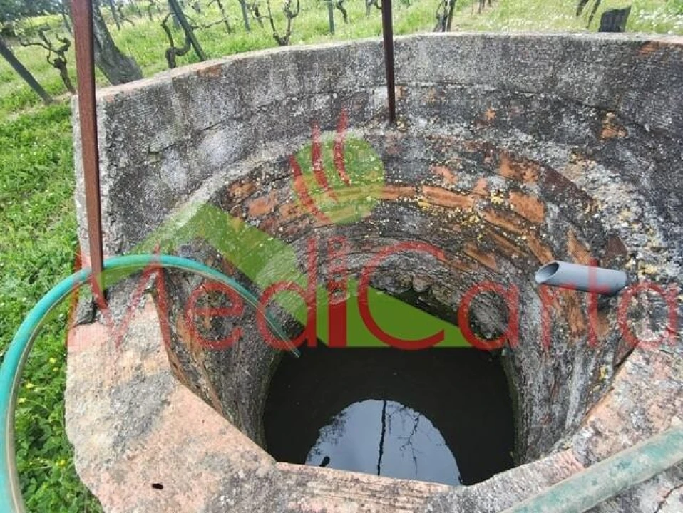 Terreno para Venda em Cartaxo e Vale da Pinta Foto 3